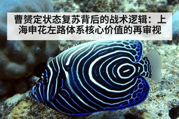 曹赟定状态复苏背后的战术逻辑:上海申花左路体系核心价值的再审视